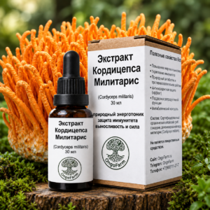 Экстракт кордицепса милитарис (30мл)